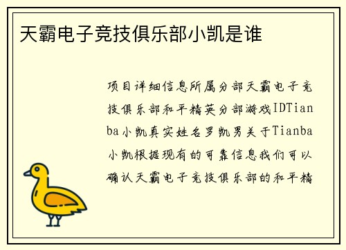 天霸电子竞技俱乐部小凯是谁